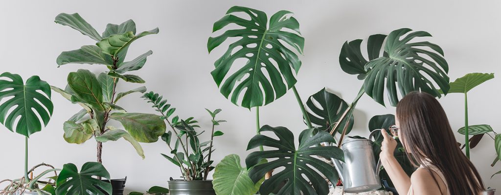 Ideeën voor een botanisch interieur